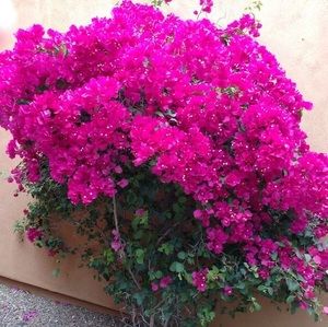 Meet your Posher, Marilyn